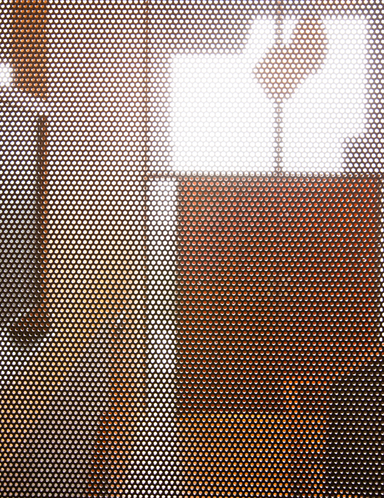 mesh screen // Cragmont by Sky Lanigan for Medium Plenty