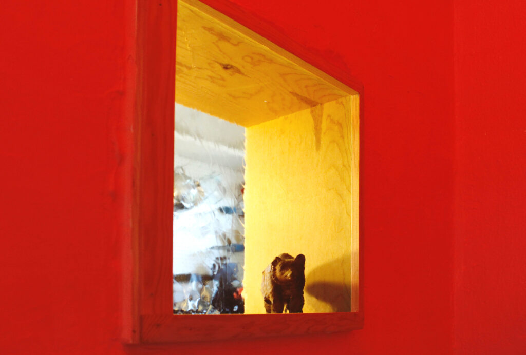 window to kitchen // Casa Nueva by Sky Lanigan