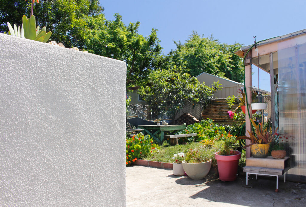 backyard with patio wall and plants // Casa Nueva by Sky Lanigan Studios